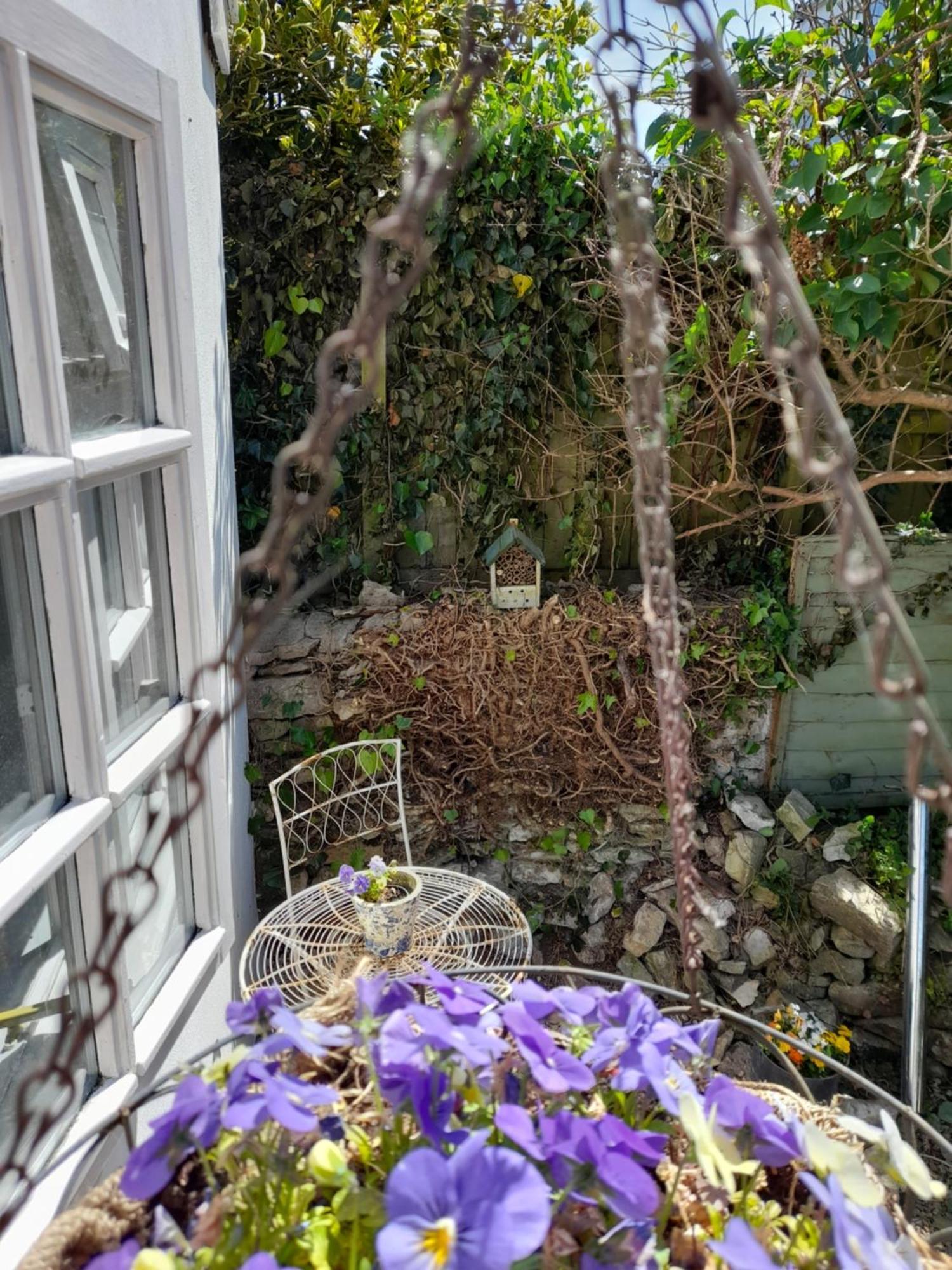 My Little Studio Farmborough Exterior foto